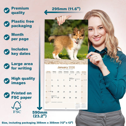 Avonside Shetland Sheepdog Kalender 2026