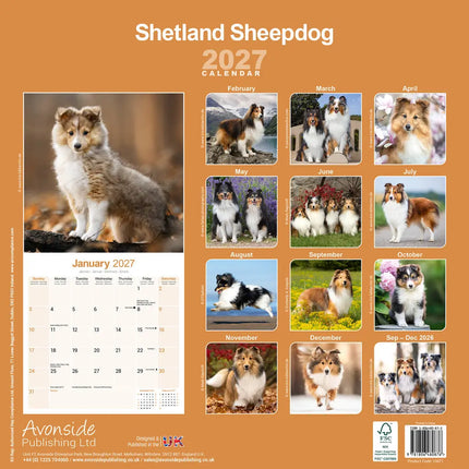 Avonside Shetland Sheepdog Kalender 2027