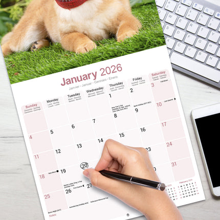 Avonside Shiba Inu Kalender 2026