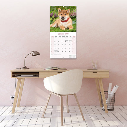 Avonside Shiba Inu Kalender 2026