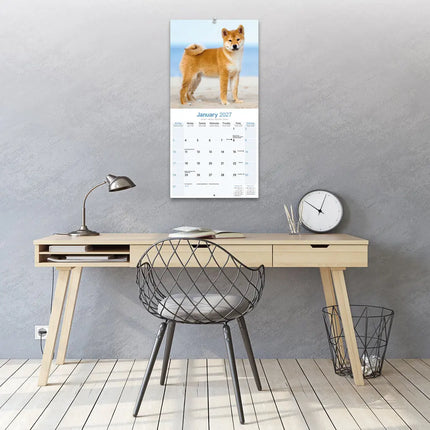Avonside Shiba Inu Kalender 2027