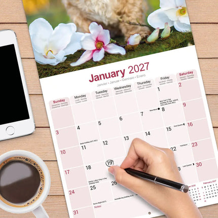 Avonside Shih Tzu Kalender 2027