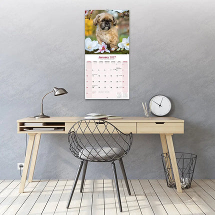 Avonside Shih Tzu Kalender 2027