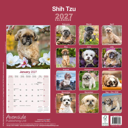 Avonside Shih Tzu Kalender 2027