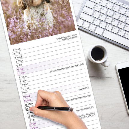 Avonside Shih Tzu Kalender 2027 Slimline