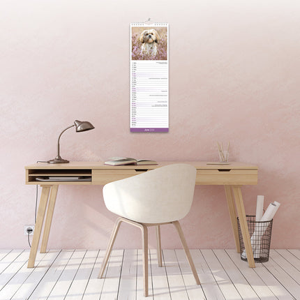 Avonside Shih Tzu Kalender 2027 Slimline