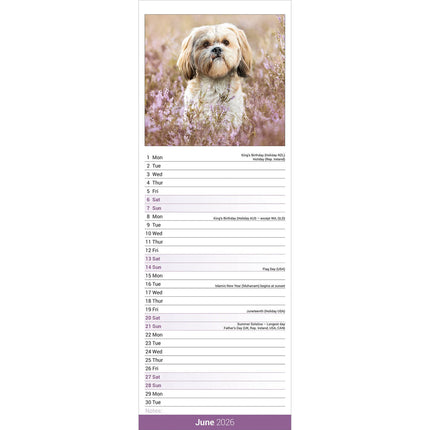Avonside Shih Tzu Kalender 2027 Slimline