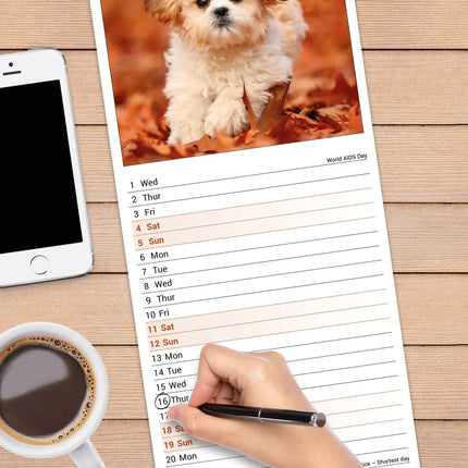 Avonside Shih Tzu Kalender 2027 Slimline