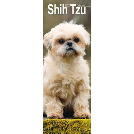 Avonside Shih Tzu Kalender 2027 Slimline