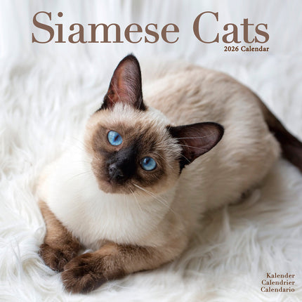 Avonside Siamees Kalender 2026