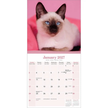 Avonside Siamees Kalender 2027
