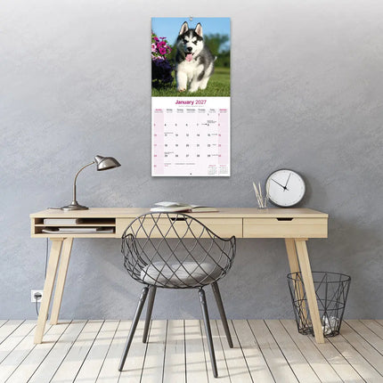 Avonside Siberian Husky Kalender 2027