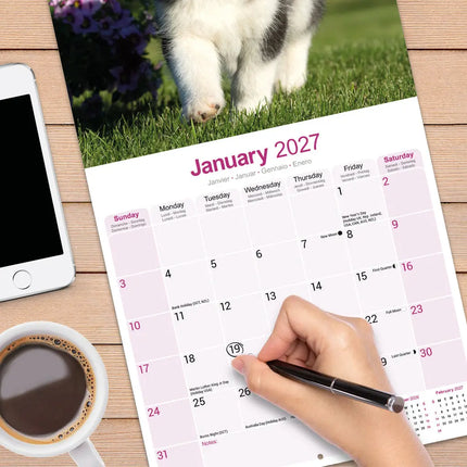 Avonside Siberian Husky Kalender 2027
