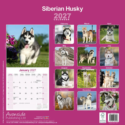 Avonside Siberian Husky Kalender 2027