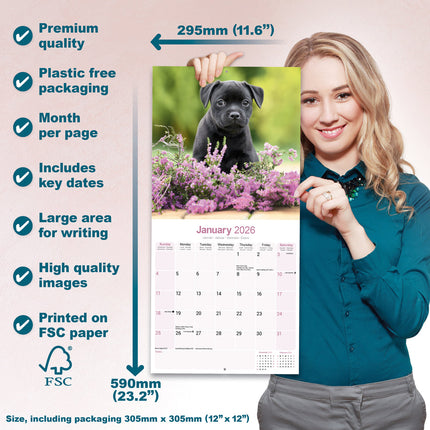 Avonside Staffordshire Bull Terrier Kalender 2026