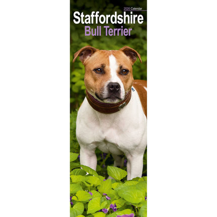 Avonside Staffordshire Bull Terrier Kalender 2026 Slimline