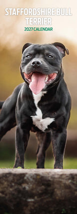 Avonside Staffordshire Bull Terrier Kalender 2026 Slimline