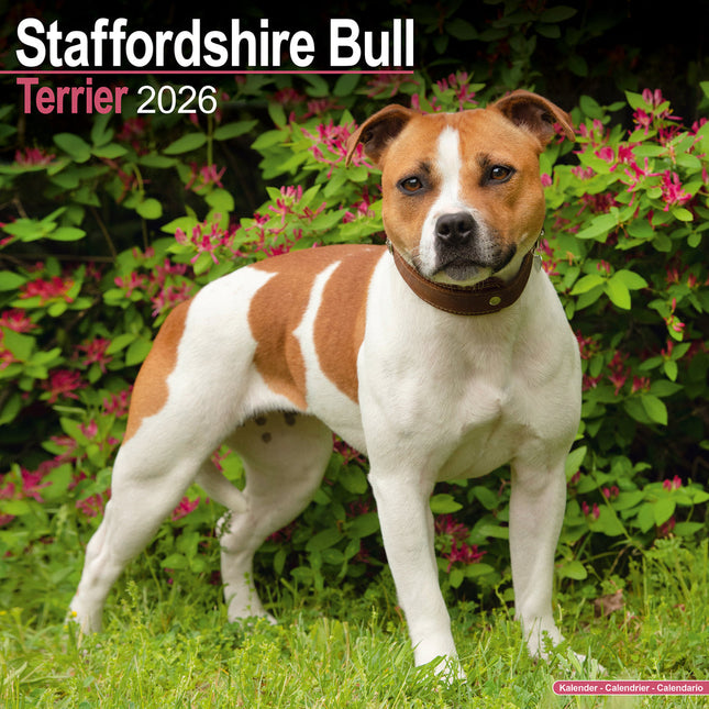 Avonside Staffordshire Bull Terrier Kalender 2027