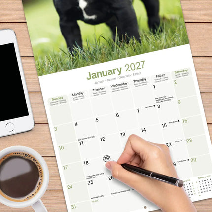 Avonside Staffordshire Bull Terrier Kalender 2027