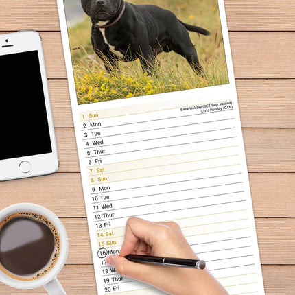 Avonside Staffordshire Bull Terrier Kalender 2027 Slimline