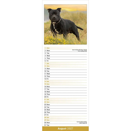 Avonside Staffordshire Bull Terrier Kalender 2027 Slimline