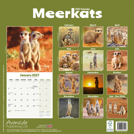 Avonside Stokstaartjes Kalender 2027