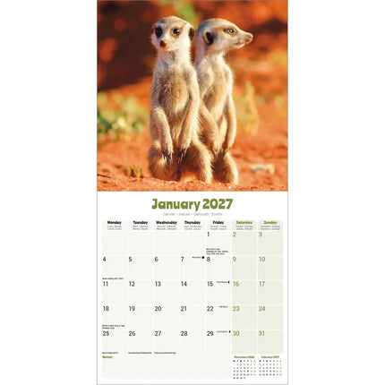 Avonside Stokstaartjes Kalender 2027