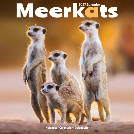 Avonside Stokstaartjes Kalender 2027