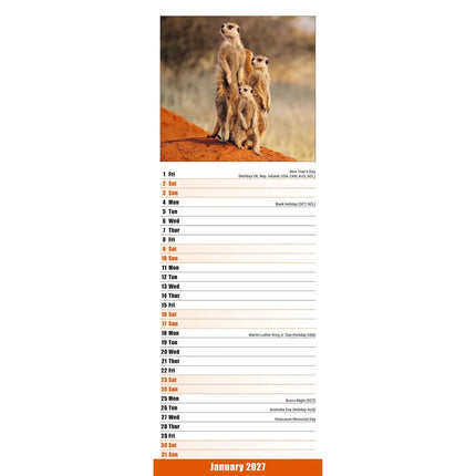 Avonside Stokstaartjes Slimline Kalender 2027