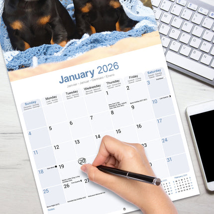 Avonside Teckel Kalender 2026