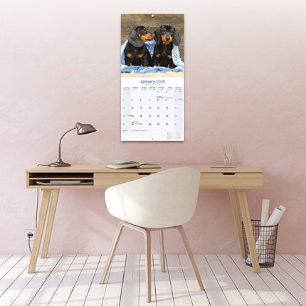 Avonside Teckel Kalender 2026