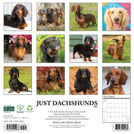 Avonside Teckel Kalender 2026
