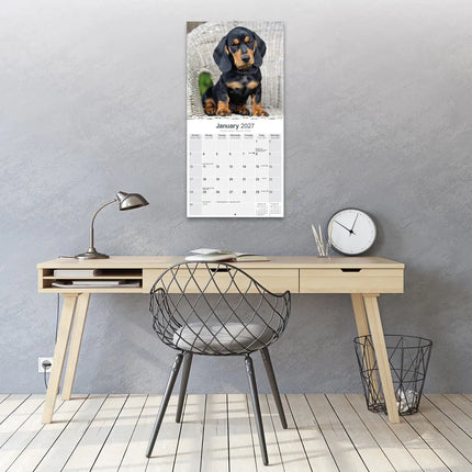 Avonside Teckel Kalender 2027