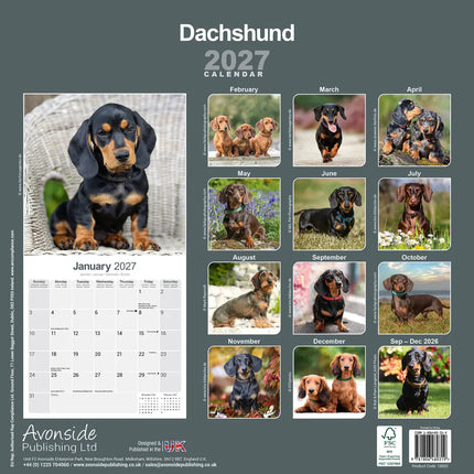 Avonside Teckel Kalender 2027