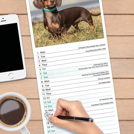 Avonside Teckel Kalender 2027 Slimline