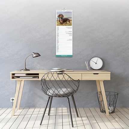 Avonside Teckel Kalender 2027 Slimline