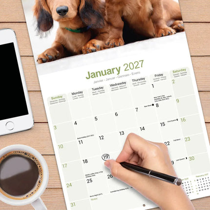 Avonside Teckel Langhaar Kalender 2027