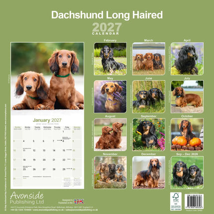 Avonside Teckel Langhaar Kalender 2027