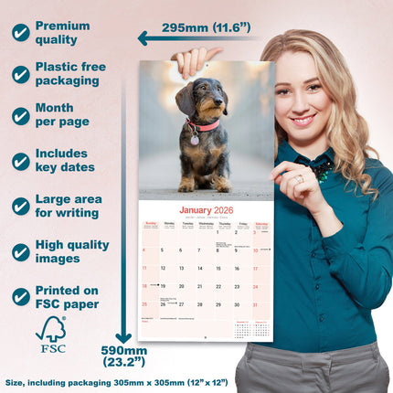 Avonside Teckel Ruwhaar Kalender 2026