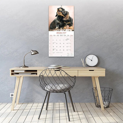 Avonside Teckel Ruwhaar Kalender 2027