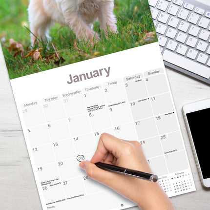 Avonside Tibetaanse Terrier Kalender 2026