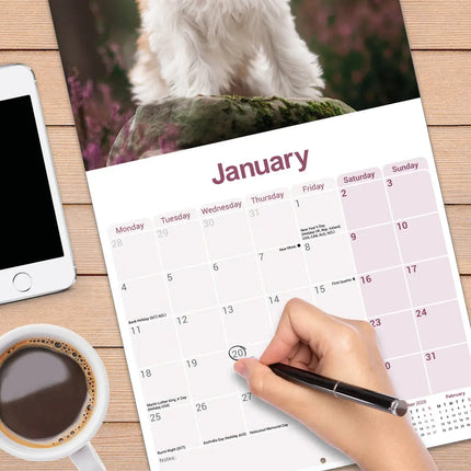 Avonside Tibetaanse Terrier Kalender 2027