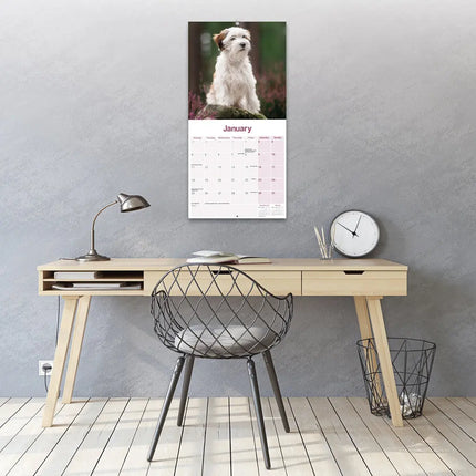 Avonside Tibetaanse Terrier Kalender 2027