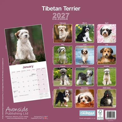 Avonside Tibetaanse Terrier Kalender 2027