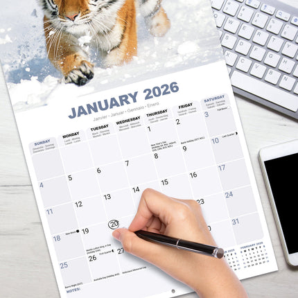 Avonside Tijger Kalender 2026