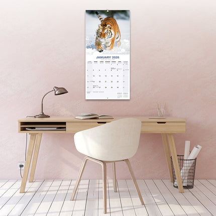 Avonside Tijger Kalender 2026