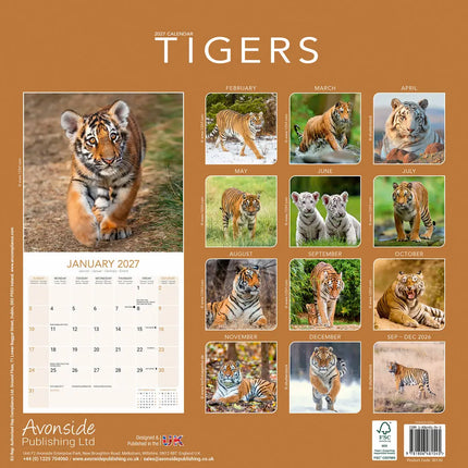Avonside Tijger Kalender 2027