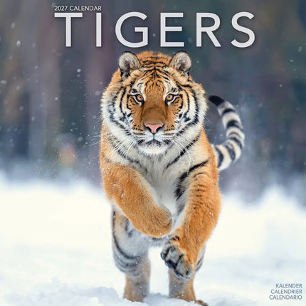 Avonside Tijger Kalender 2027
