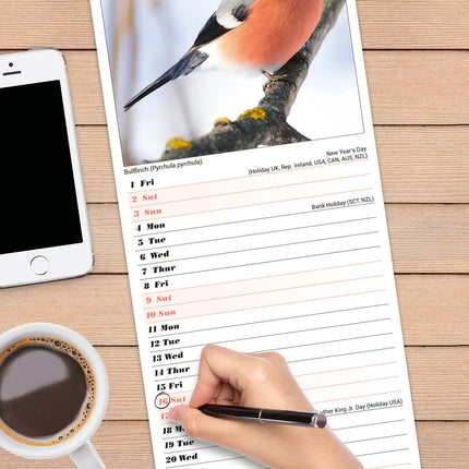 Avonside Tuinvogels Slimline Kalender 2027