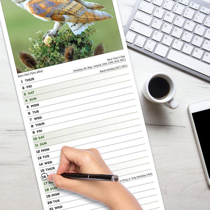 Avonside Uilen Kalender 2026 Slimline